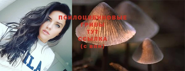 амф Усинск