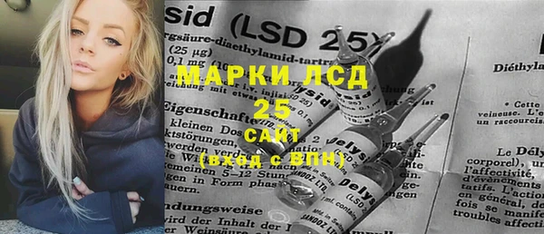 PSILOCYBIN Лихославль