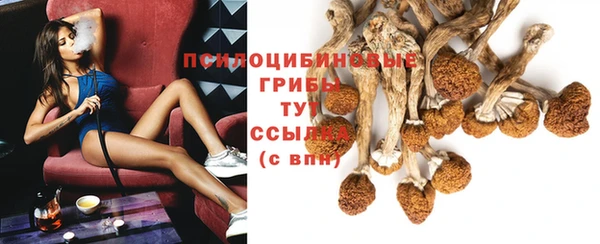 амф Усинск